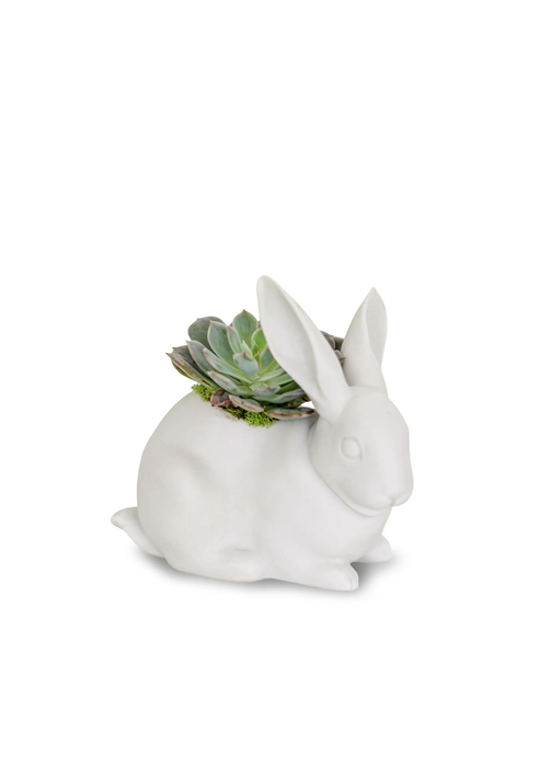 Lladro Bunny Garden Figurine. Matte White. Plant the Future